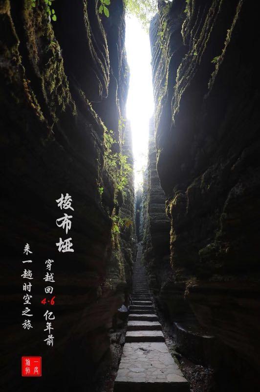 逗小猴开心系列203