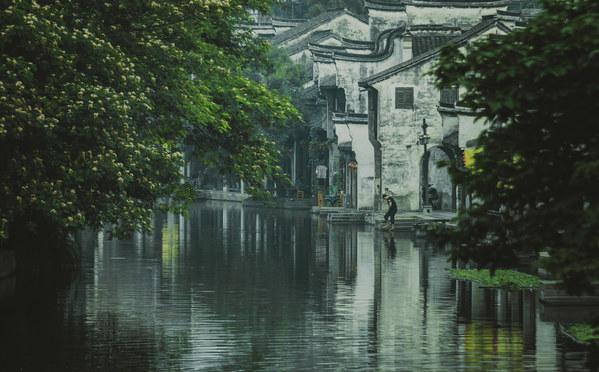 数数救伙伴